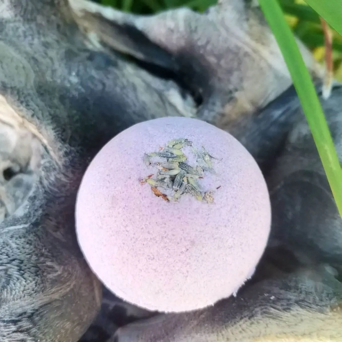 BATH BOMB:  Lavender