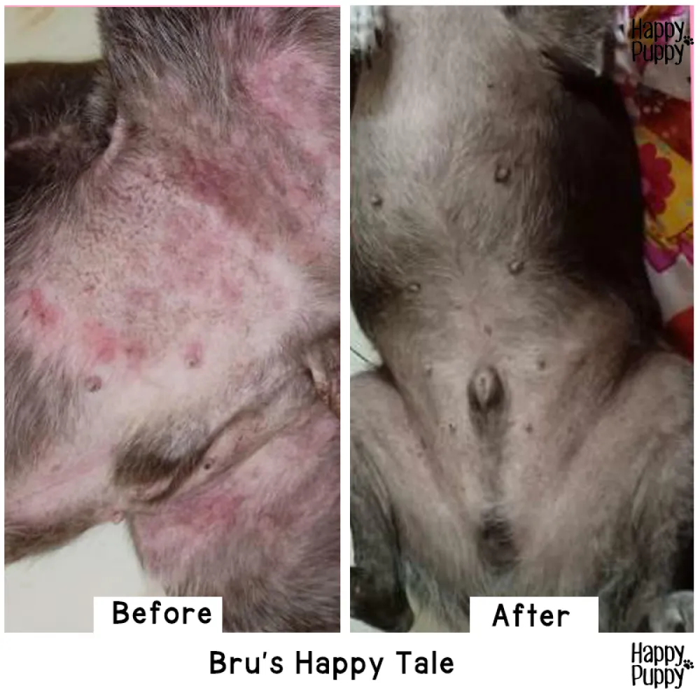 Happy Puppy Organic Hemp Healing Balm for Dogs and Cats