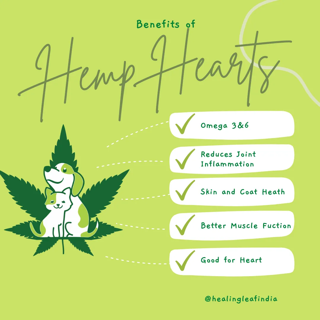 Healing Leaf Hemp Hearts for Pets and Fresh For Paws Go Go Cottage Cheese Dog Wet Food Combo