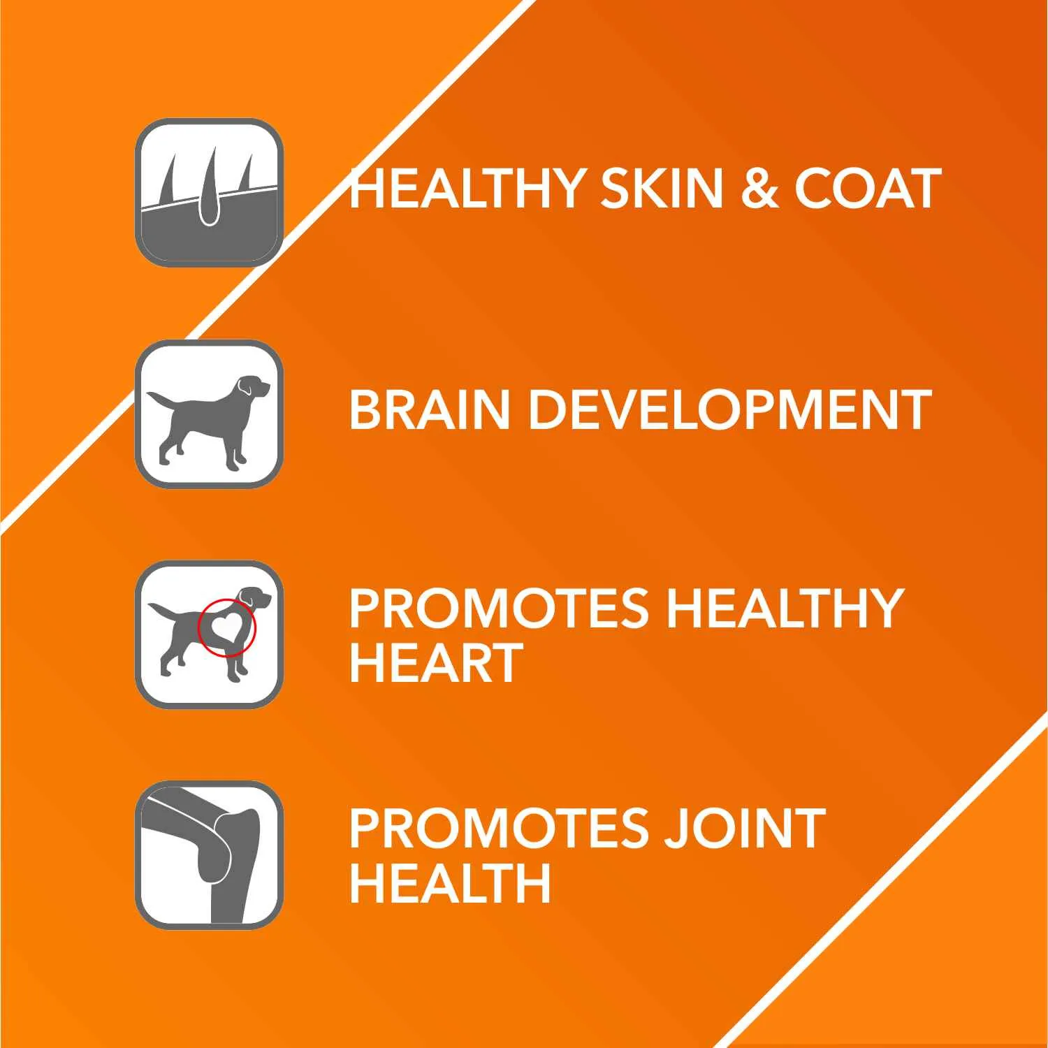 Healing Leaf Hemp Oil for Pets and Drools Absolute Salmon Oil Syrup Supplement for Dogs for Combo
