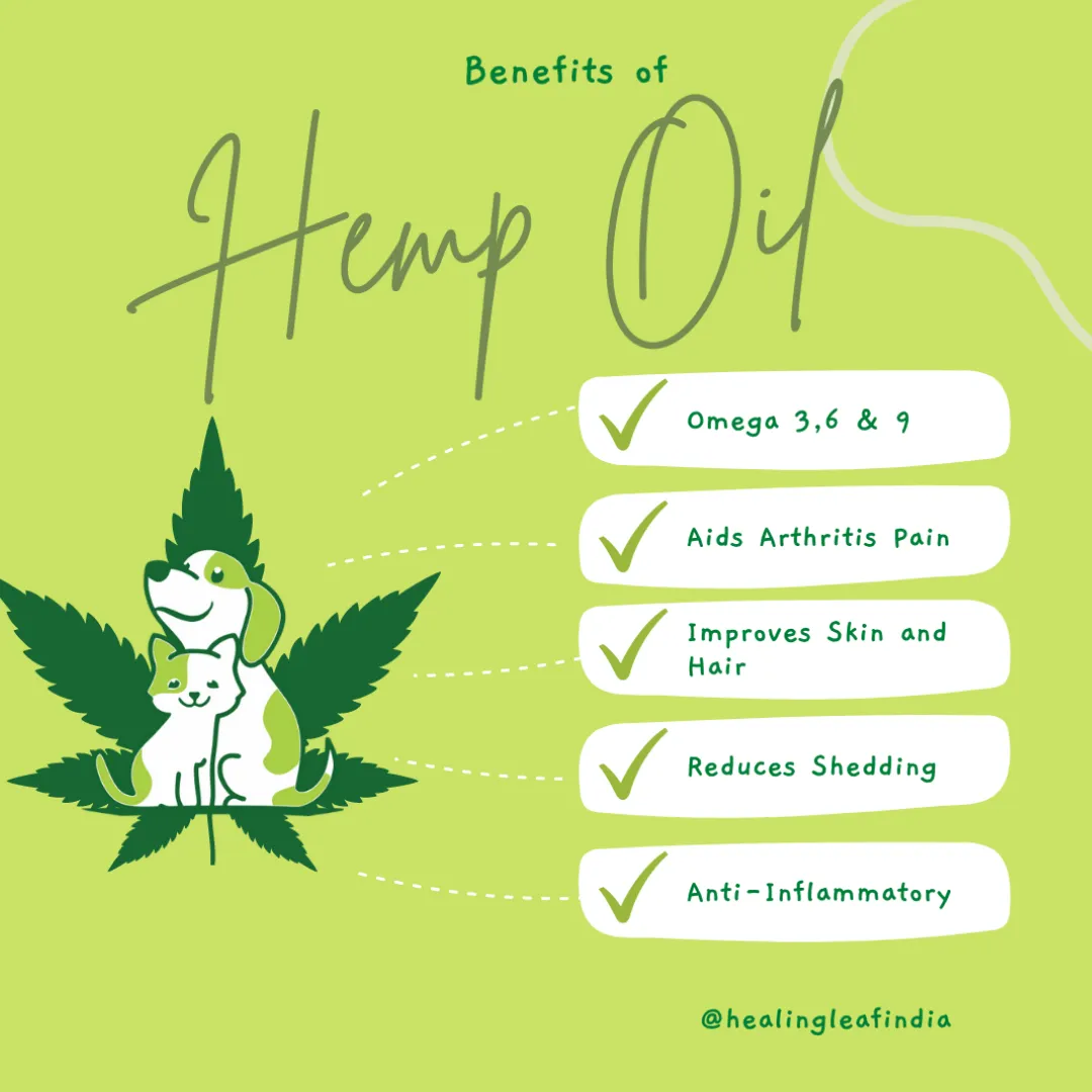 Healing Leaf Hemp Oil for Pets and Drools Absolute Salmon Oil Syrup Supplement for Dogs for Combo