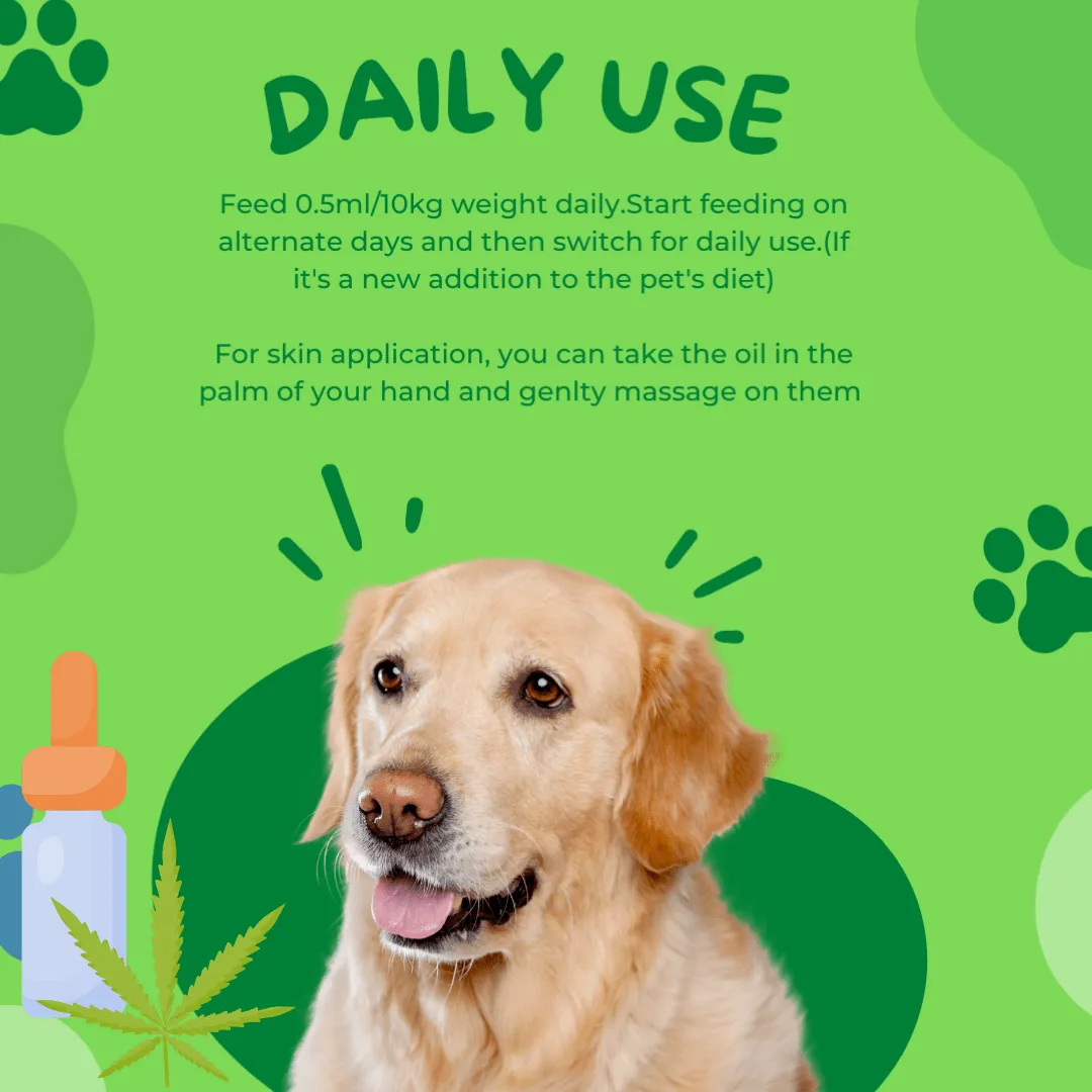 Healing Leaf Hemp Oil for Pets and Drools Absolute Salmon Oil Syrup Supplement for Dogs for Combo