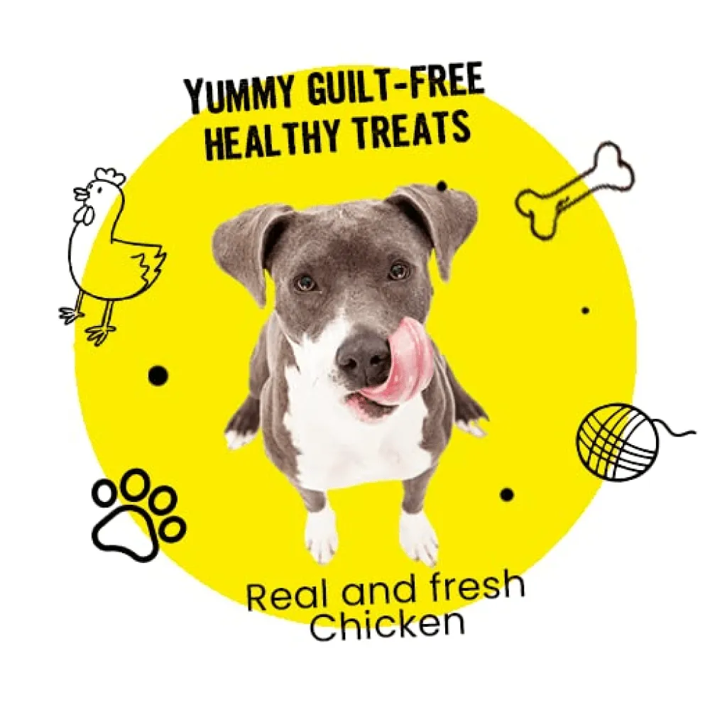 Healing Leaf Hemp Peanut Butter and Bark Out Loud Skin & Coat Hemp Chew Stix for Dogs and Cats Combo