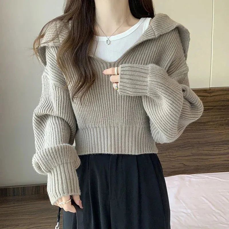 Hnewly Long Sleeve Cropped Sweater Women Autumn Winter Turn Down Collar Knitted Jumper Woman Korean Style Solid Color Jerseys