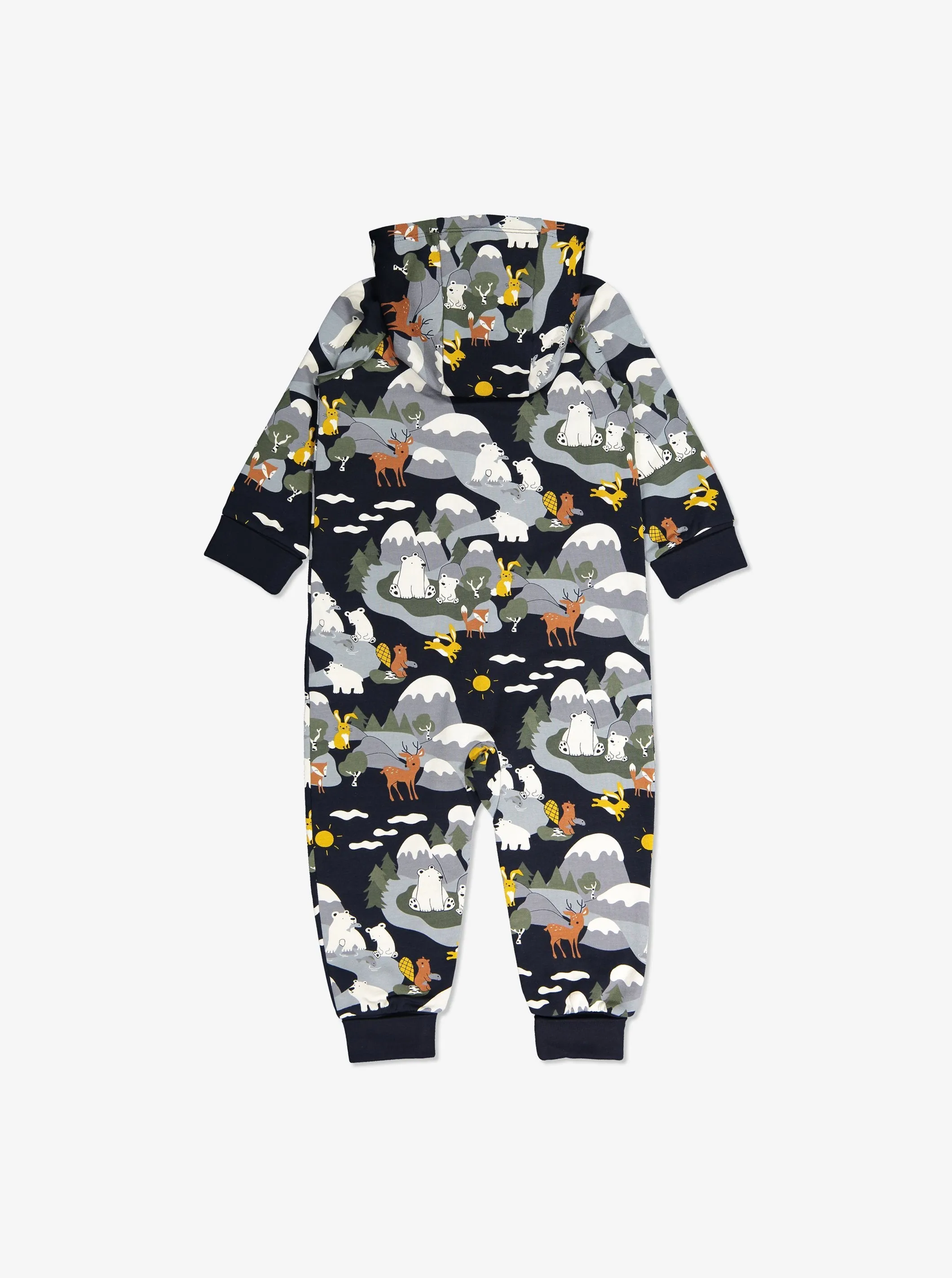 Nordic Winter Baby All In One