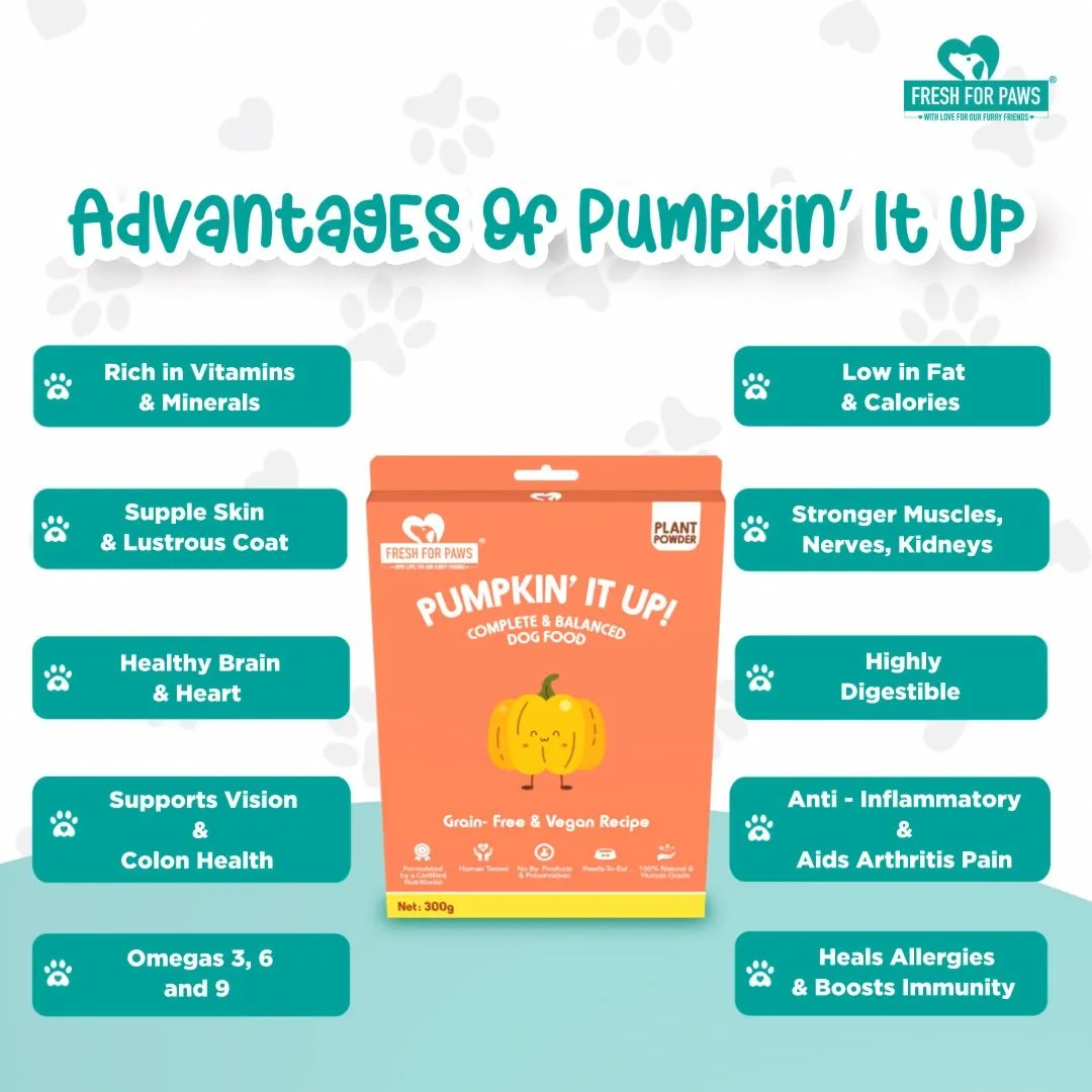 Pumpkin It Up | 100 gram pack of 3