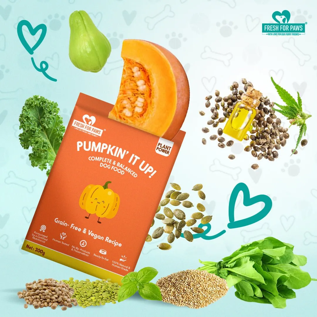 Pumpkin It Up | 100 gram pack of 3