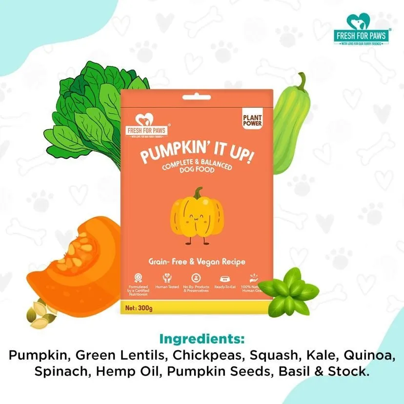 Pumpkin It Up | 100 gram pack of 3